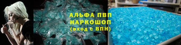 ECSTASY Гусь-Хрустальный