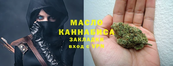 ECSTASY Гусь-Хрустальный