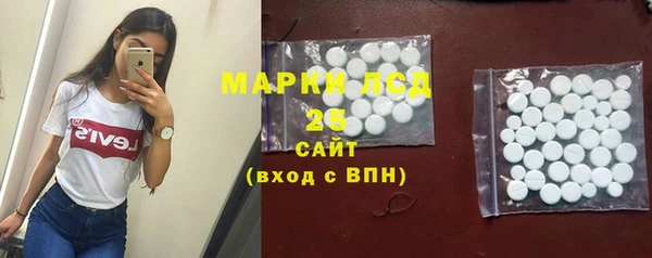 ECSTASY Гусь-Хрустальный