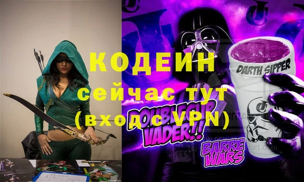 ECSTASY Гусь-Хрустальный