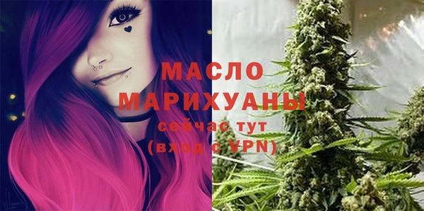 ECSTASY Гусь-Хрустальный