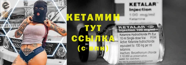 ECSTASY Гусь-Хрустальный