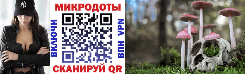 Галлюциногенные грибы Psilocybine cubensis  Ефремов 